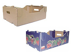 Prima 2000 jablká, hrušky, slivky, vývoz ovocia, zelenina 16